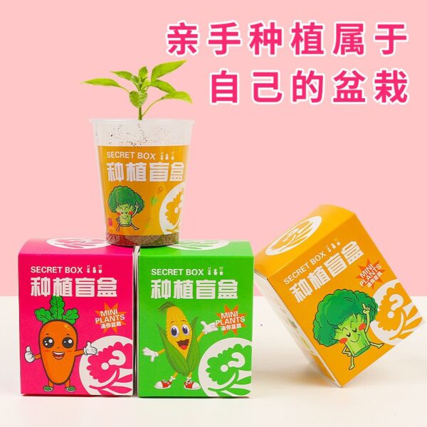 Secret Box Mini Plant Growing Kit